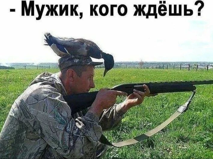 Мужик кого ждёшь