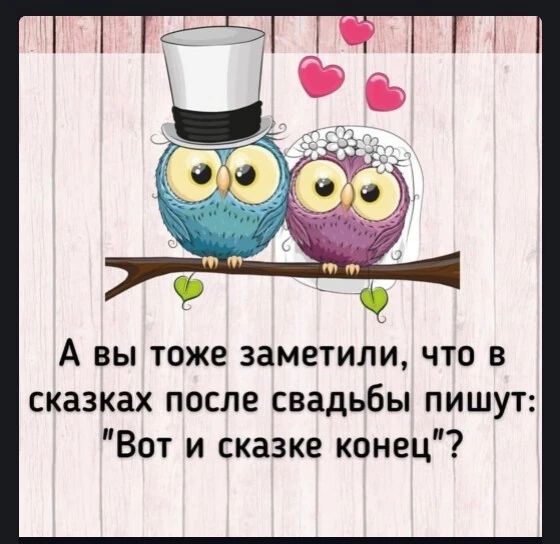 А вы тоже заметили что в сказках после свадьбы пишут Вот и сказке конец