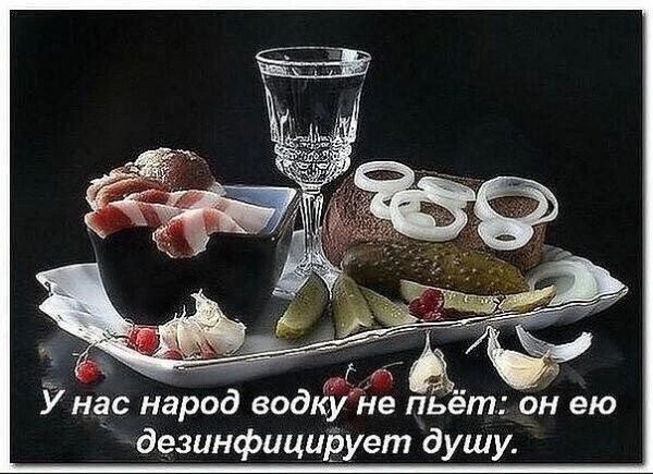 ёж У нас народ водку не пьет он ею дезинфицирует душу