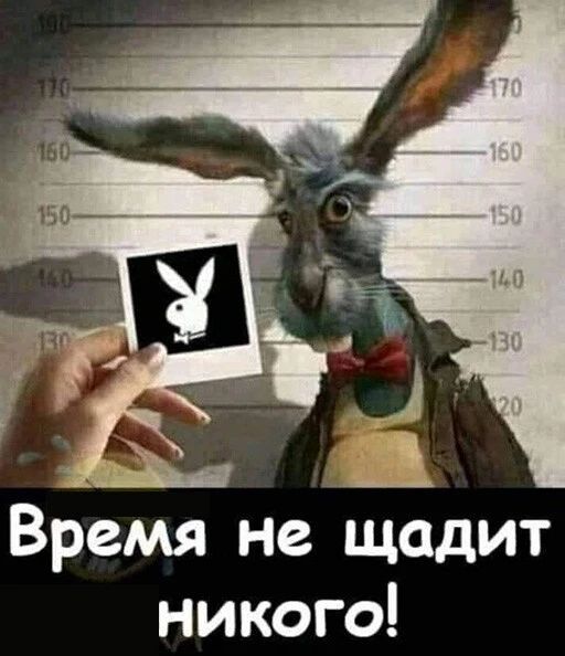 Время не щадит никого