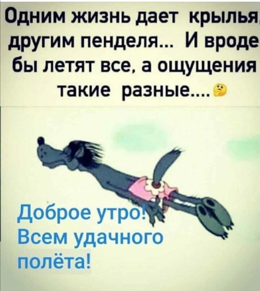 Одним жизнь дает крылья другим пенделя И вроде бы летят все а ощущения такие разныео доброе утро Всем удачного полёта