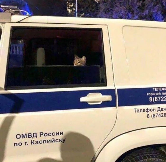 Телефон де