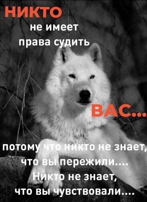 нё имеет права