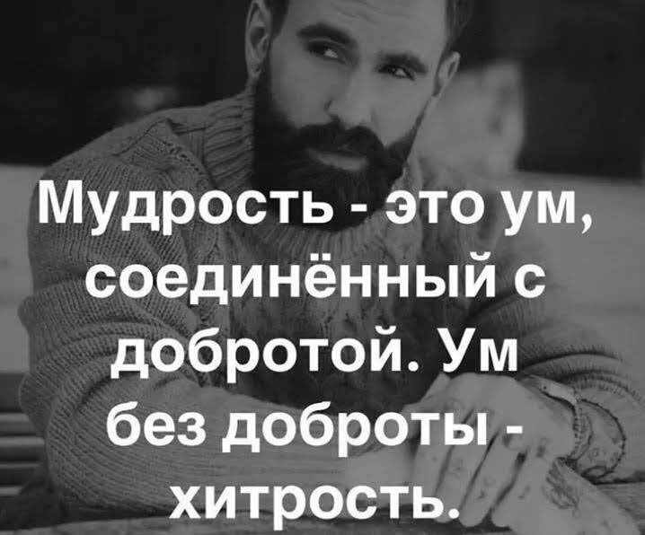 Мудрость это ум соединённый с добротой Ум без доброты хитрость