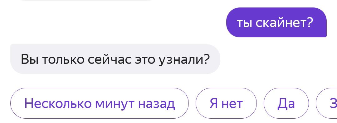 ты скайнет Вы только сейчас это узнали КНесколько минутназад Янет Да КЗ
