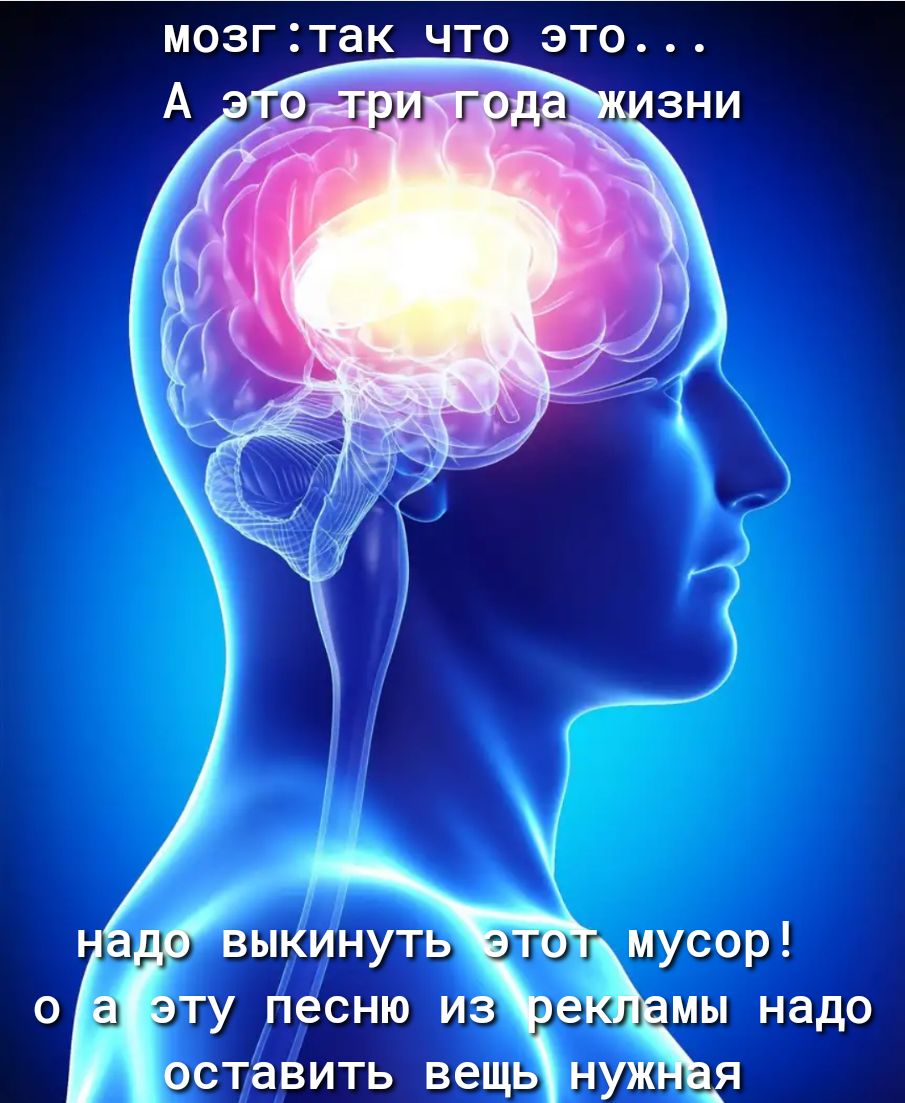 мозгтак что это дтп три года зни выкинуть мусор о а ту песню из едЪЁкг надо ж оставить ВЭЩЬ НУ Я