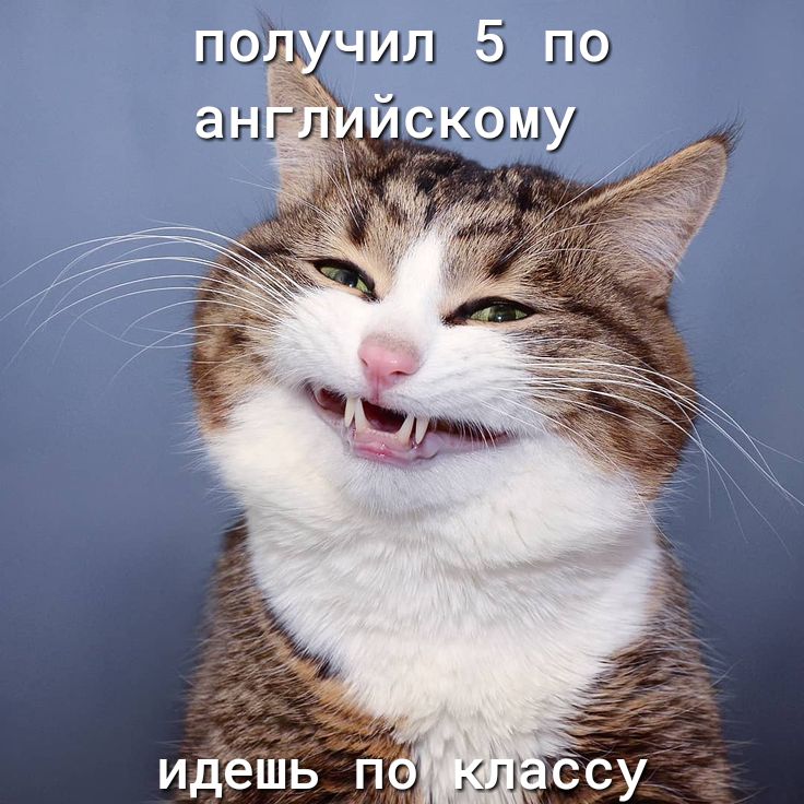 получил 5 по