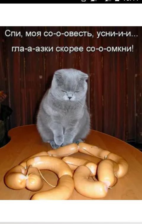 СПИ МОЯ со о овесть усниии та а взки скорее СОООМКНИ
