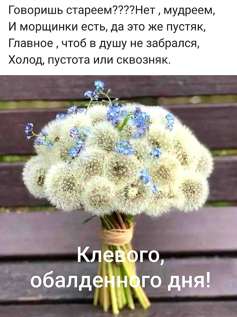 Говоришь стареемНет мудреем И морщинки есть да это же пустяк Главное чтоб в душу не забрался Холод пустота или сквозняк