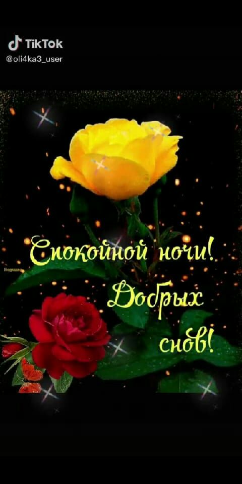 д ткток оіі4іка3_ц5н Ёи0кои3і0й к0ш Ёб рых ЁЁ сиды