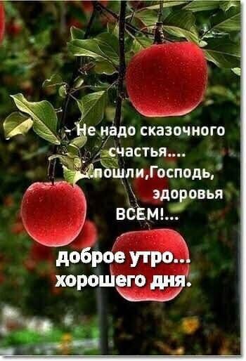 едуздощ сказочного указчасты ошпи Господн зло вья воз доброе утро