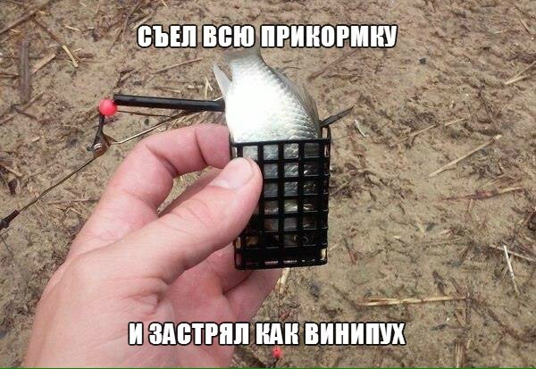 иЁпвтгпп идиіиниіш