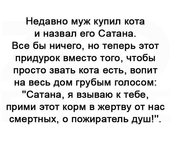 Недавно муж купил кота и назвал его Сатана Все бы ничего но теперь этот придурок вместо того чтобы просто звать кота есть вопит на весь дом грубым голосом Сатана я взываю к тебе прими этот корм в жертву от нас смертных о пожиратель душ