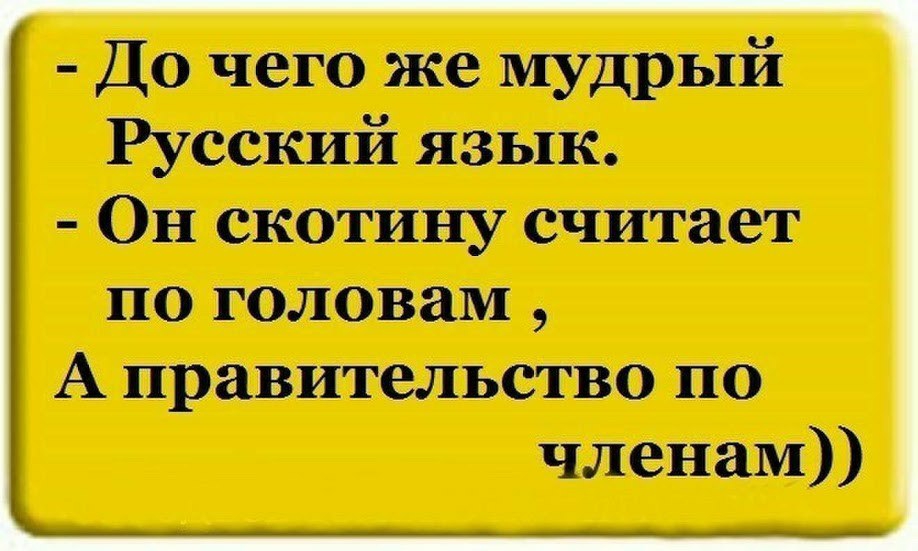До чего же мудрый Русский даш Он скотину 8 по юлввам А правительство по членам