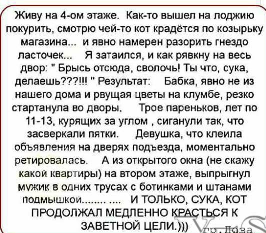 Живу на 4 ом этаже Как то вышел на лоджию покурить смотрю чей то кот крадётся по козырьку магазина и явно намерен разорить гнездо ласточек Я затаился и как рявкну на весь двор Брысь отсюда сволочь Ты что сука депаешь Результат Бабка явно не из нашего дома и рвущая цветы на клумбе резко стартанупа во дворы Трое пареньков лет по 11 13 курящих за углом сиганупи так что засверкали пятки девушка что кл