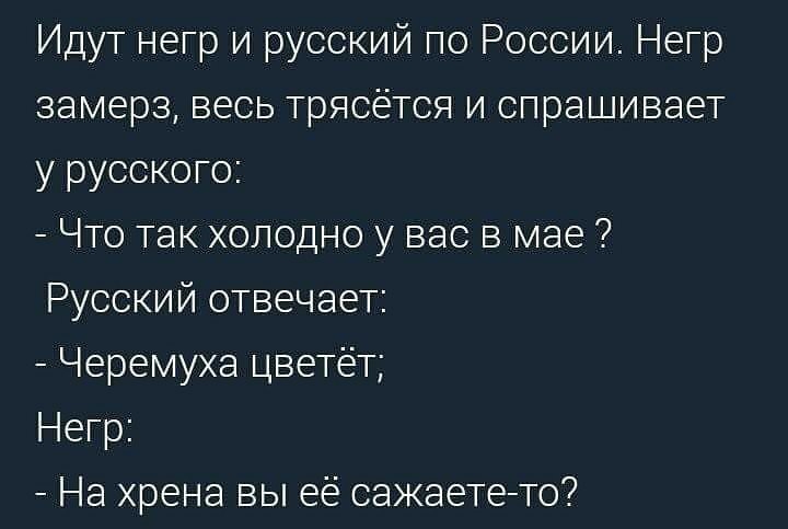Идут негр и русский по России Негр замерз весь трясется и спрашивает у русского Что так холодно у вас в мае Русский отвечает Черемуха цветёт Негр На хрена вы её сажаетето