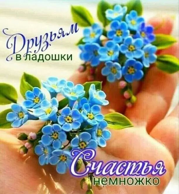 С Ь ЧИ й адошки
