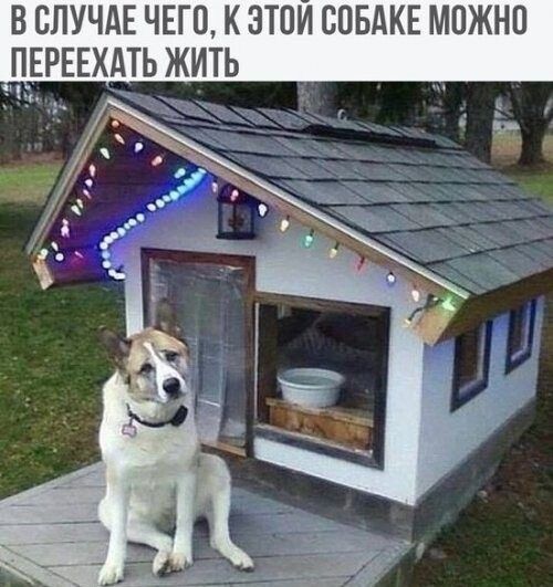 в СЛУЧАЕ что к этим СПБАКЕ можно ЕРЕЕХАТЬ жить