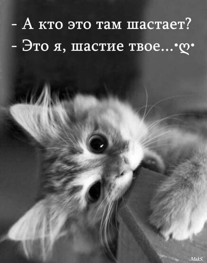 - А кто это там счастает?
- Это я, счастие твое...