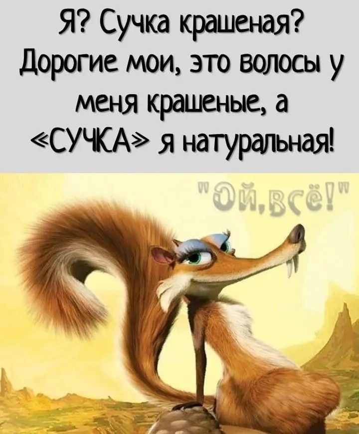 Я? Сучка крашеная? Дорогие мои, это волосы у меня крашеные, а «СУЧКА» я натуральная! Ой, всё!