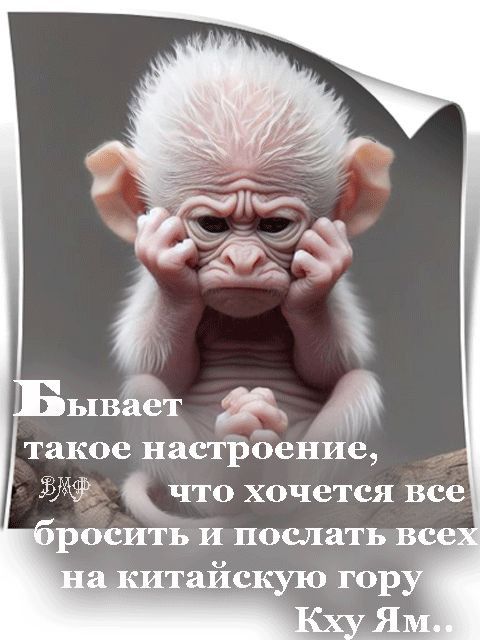 Бывает такое настроение, что хочется все бросить и послать всех на китайскую гору Кху Ям..