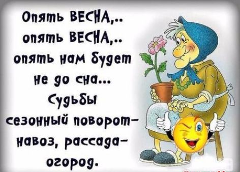 Опять ВЕСНА,.. опять ВЕСНА,.. опять нам будет Не до сна... Судьбы сезонный поворот - навоз, рассада - огород.