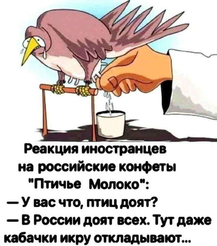 Реакция иностранцев на российские конфеты 