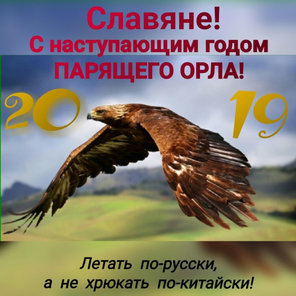 7 Летать по р а не хрюкать П итайски