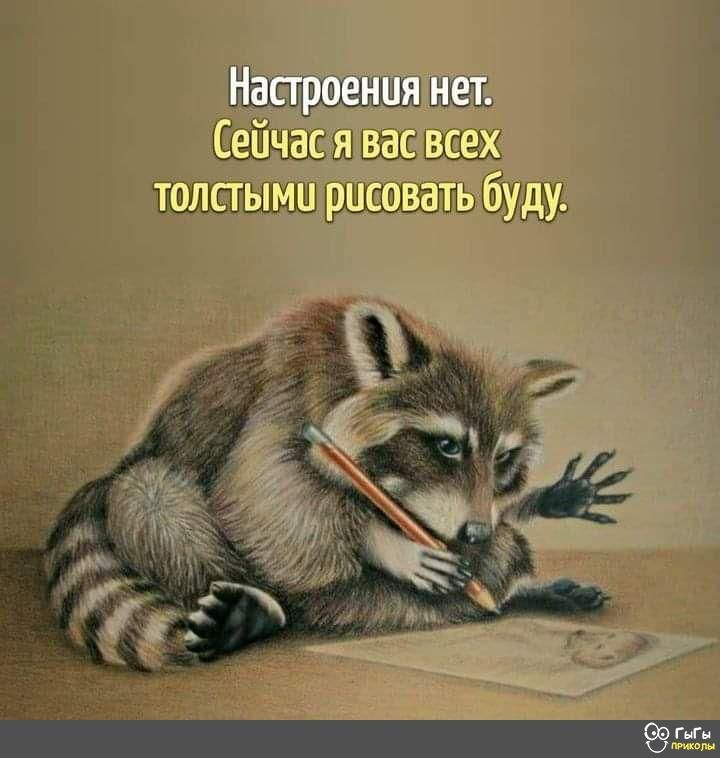 ш ыш циалзлпь