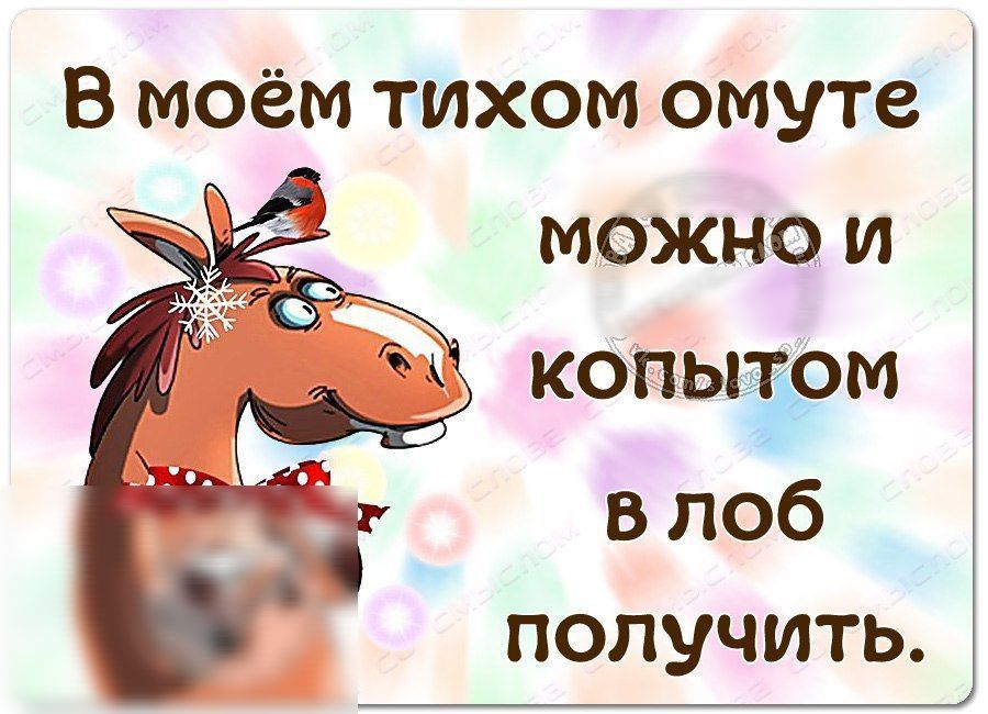 В моём тихом омуте можно и копыърм влоб получить