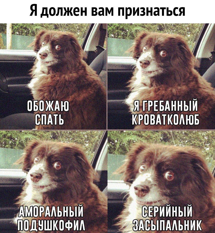 Я должен вам признаться АМПРААЬНЫИ дншкпфм ддыпмьник