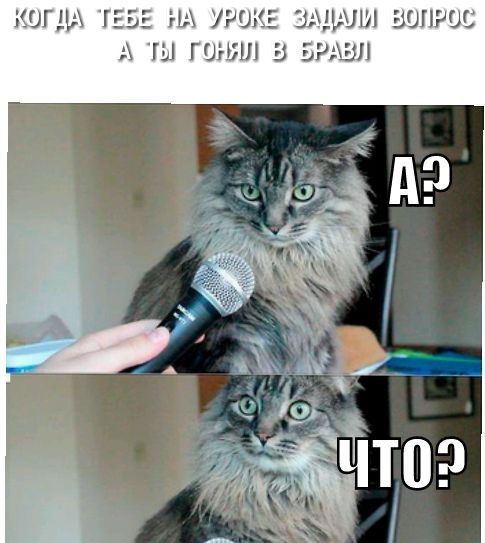 КОГДА Т