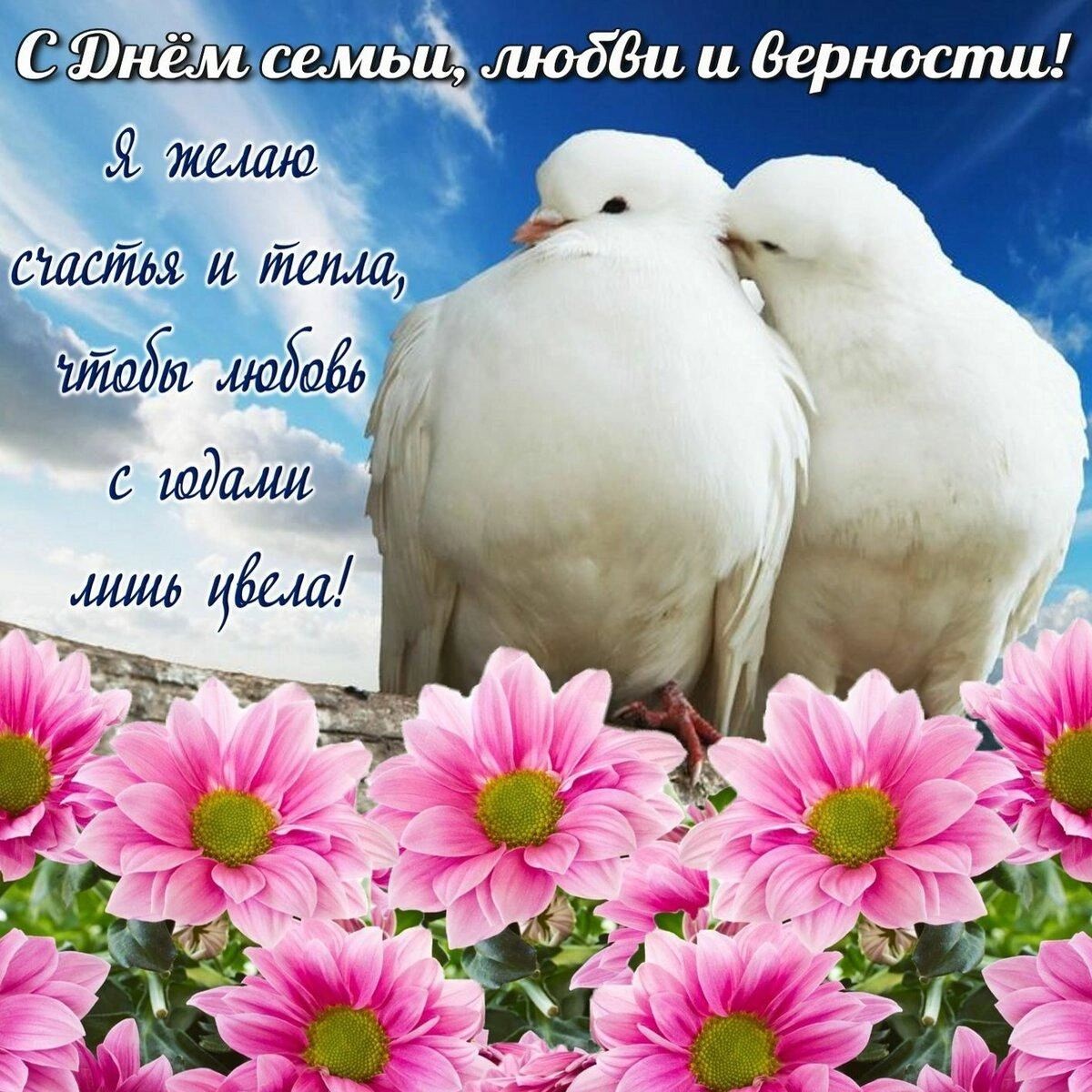 Маи и Вернослщ
