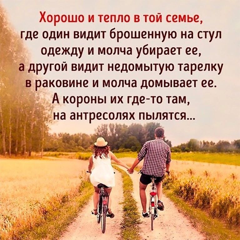 Хорошо и тепло в той семье где один видит брошенную на стул одежду и молча убирает ее а другои видит недомытую тарелку в раковине и молча домывает ее А короны их где то там __ на антресопях пылятся