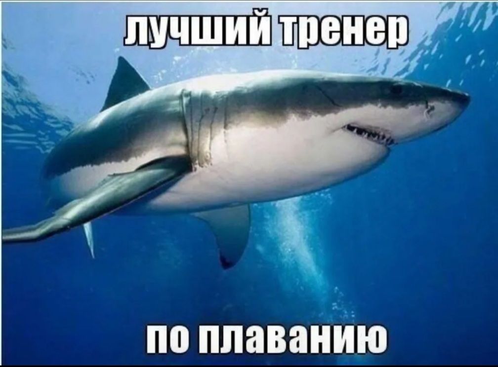 и