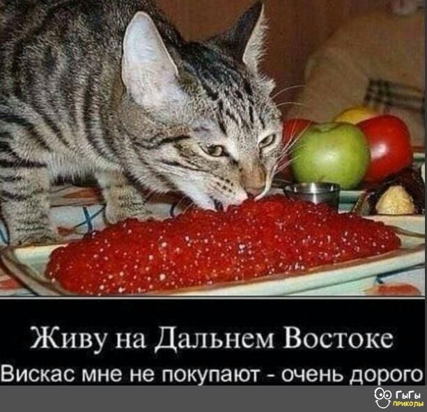 4 Живу на Дальнем Востоке ВИСКЭС мне не ПОКУПЭЮТ очень ДО ОГО
