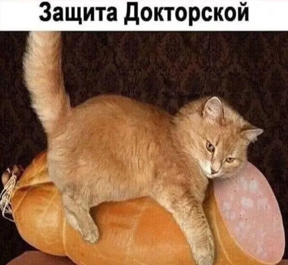 и 0 к с р о т к 0 д а т Щ а з