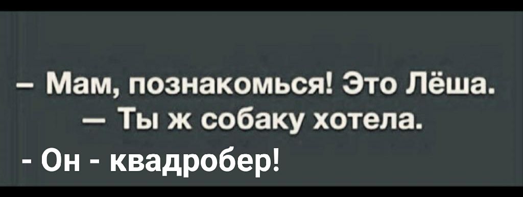 Мам познакомься Это Лёша Ты ж собаку хотела Он квадробер