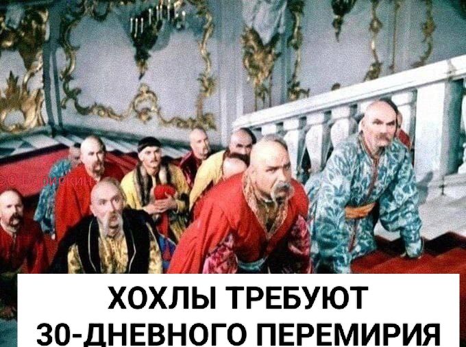ХОХЛЫ ТРЕБУЮТ 30-ДНЕВНОГО ПЕРЕМИРИЯ