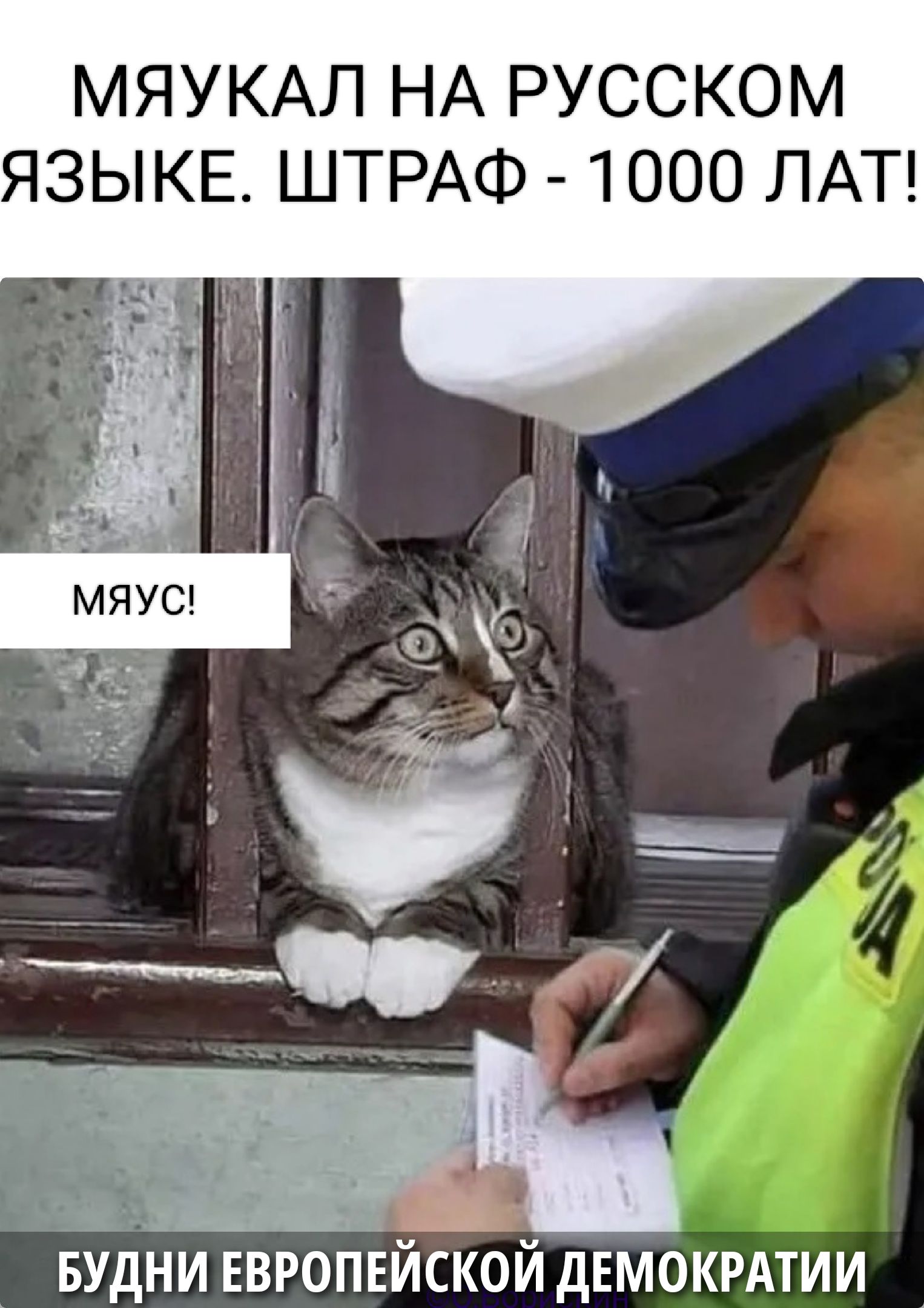 МЯЮКАЛ НА РУССКОМ ЯЗЫКЕ. ШТРАФ - 1000 ЛАТ! МЯУС! БУДНИ ЕВРОПЕЙСКОЙ ДЕМОКРАТИИ