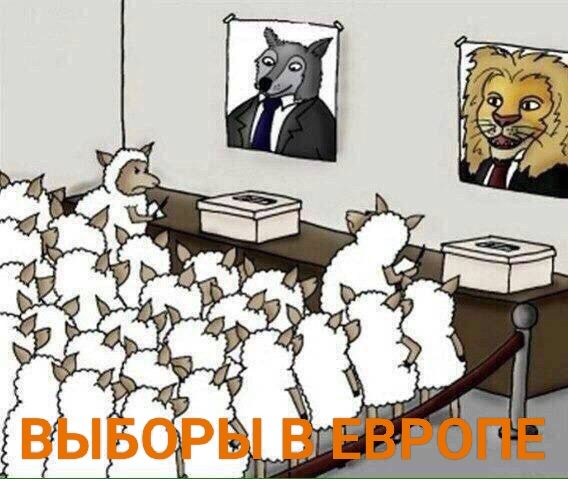 ВЫБОРЫ В ЕВРОПЕ