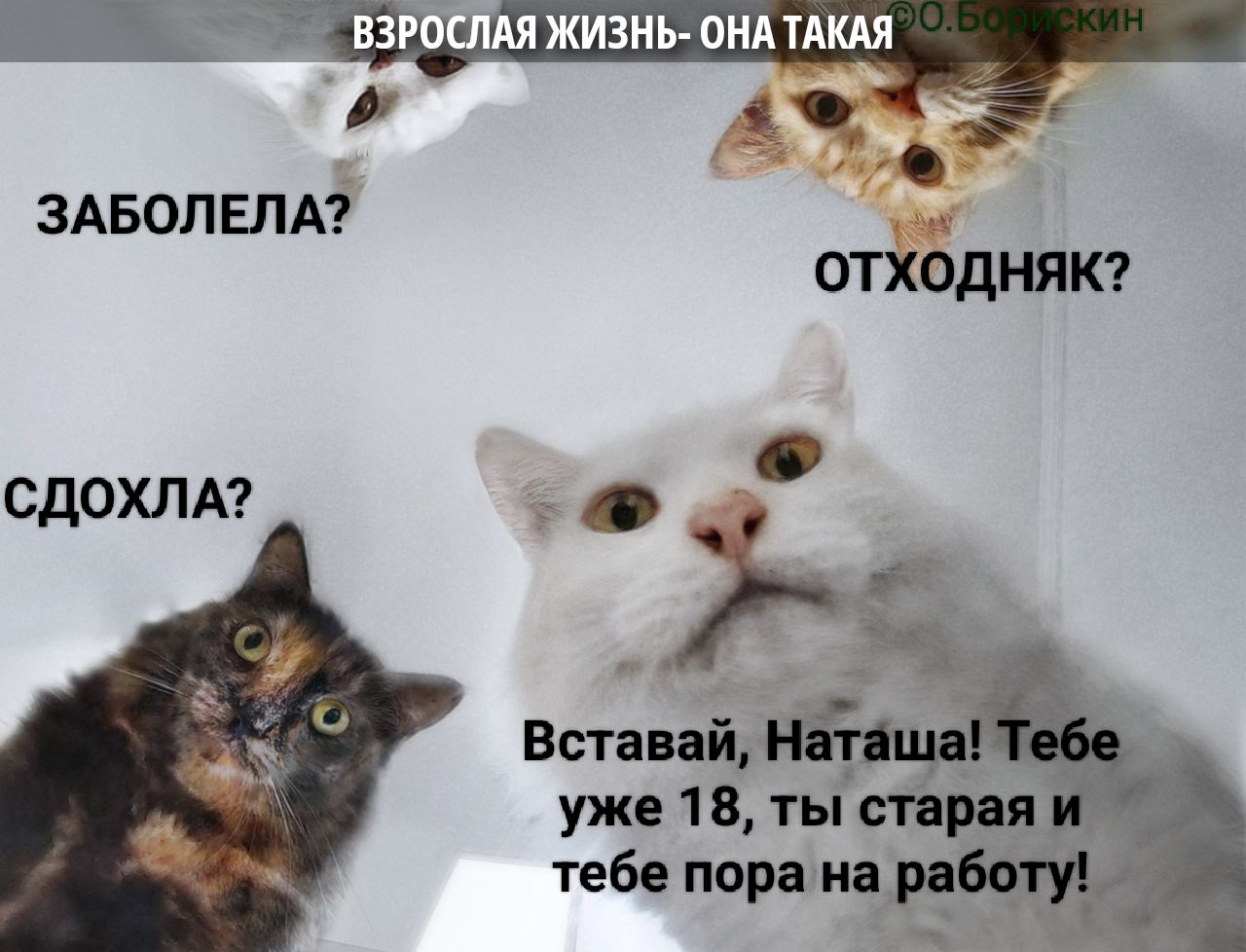 ВЗРОСЛАЯ ЖИЗНЬ - ОНА ТАКАЯ
ЗАБОЛЕЛА?
ОТХОДНЯК?
СДОХЛА?
Вставай, Наташа! Тебе уже 18, ты старая и тебе пора на работу!
