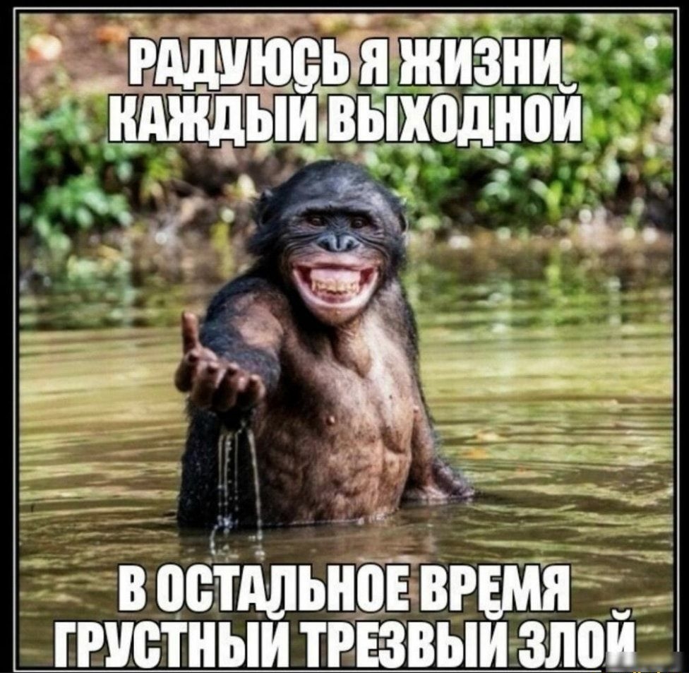 _ вобіільніоёвгёмядд _