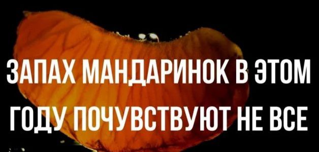 ЗАПАХ МАНДАРИНОК В ЭТОМ ГОДУ ППЧУВВТВУЮТ НЕ ВСЕ