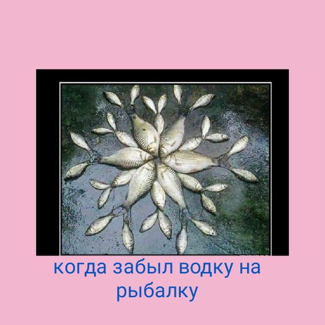 когда забыл водку на рыбалку
