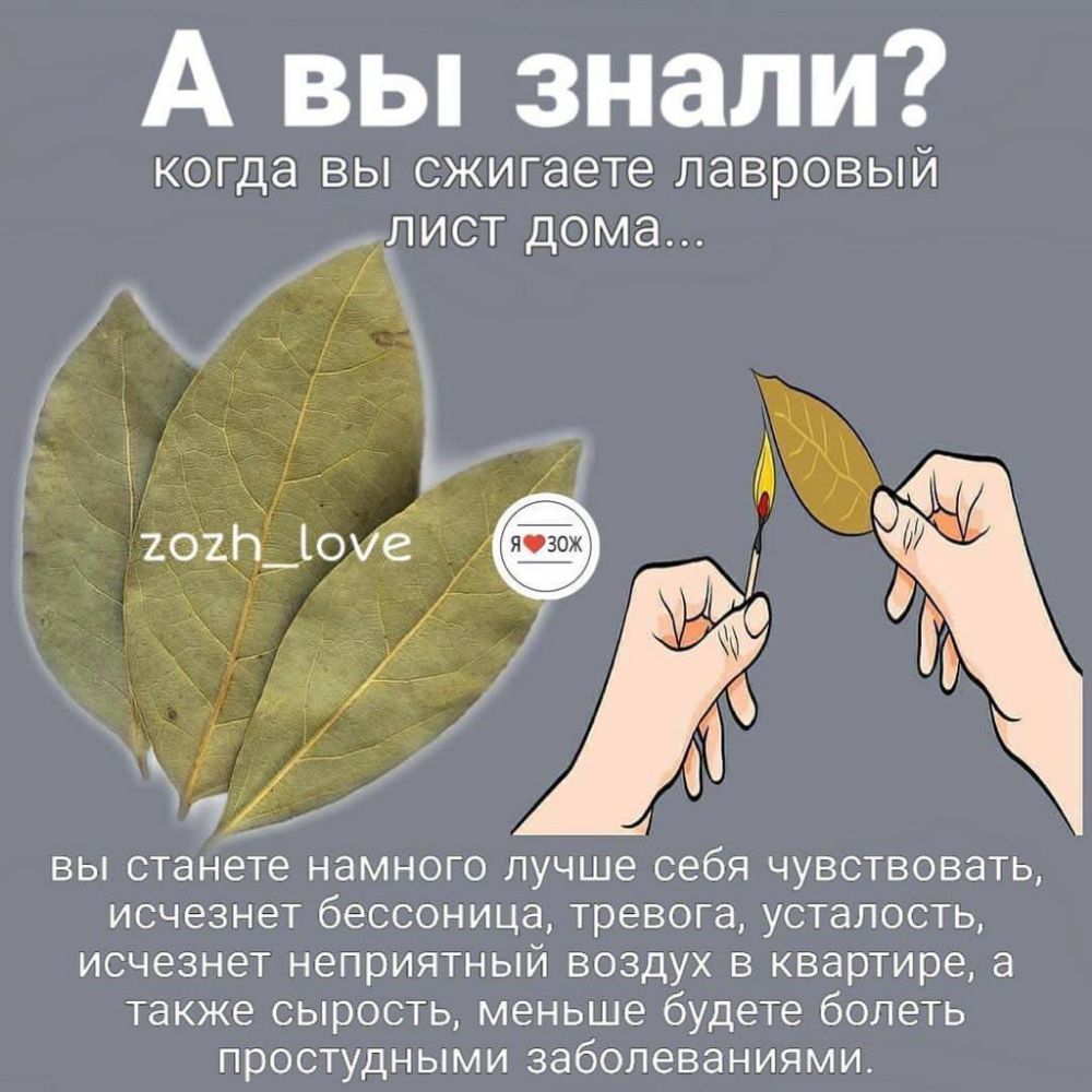 А вы знали когда ВЫ сжигаете лавровый ЛИСТ дома ВЫ станёте намного лучше себя ЧУВСТВОВдТЬ исчезнет бессоница тревога усталость исчезнет неприятный ВОЗДУХ В квартире 8 также СЫРОСТЬ меньше будете болеть прОСТУДНЫМИ заболеваниями