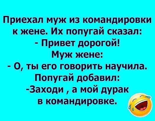 Приехал муж из командировки к жене. Их попугай сказал:  привет дорогой! Цмп