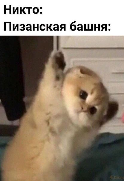 Никто Пизанская башня