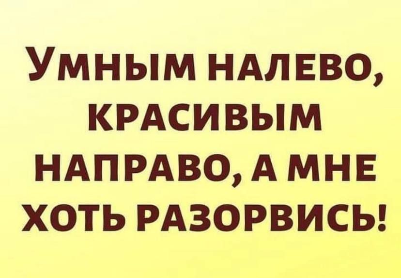 Умным ндлвво крдси вым НАПРАВО А мне хоть РАЗОРВИСЬ