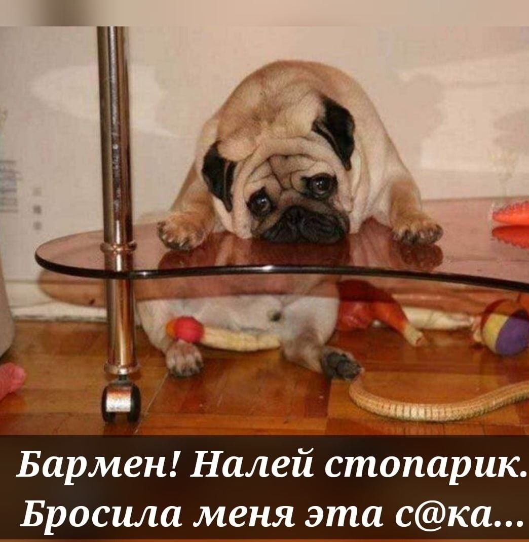 Бармен Налей стопарик Бросила меня эта ска